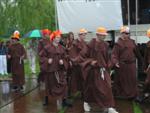 als schaapies in de regen